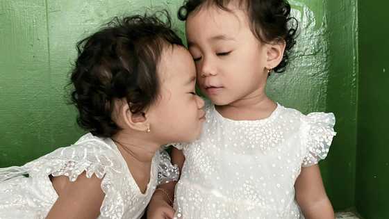 I found abandoned twins in the forest and took them home—I was shocked by what they did to my daughter