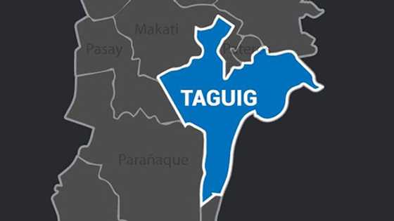 Suntukan sa ibabaw ng jeep sa Taguig, inaksyunan na ng mga awtoridad