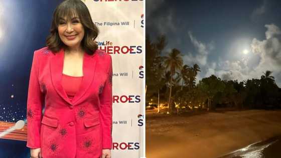 Sharon Cuneta, may emotional post: "When I leave, I won't need a big concert or any bells"