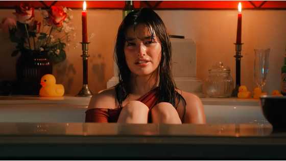 DSWD and CWC praise Liza Soberano following her recent press release