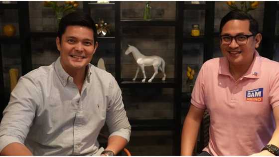 Dingdong Dantes, ipinaliwanag kung bakit siya bilib kay Bam Aquino