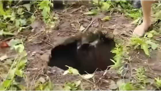 7-anyos na babae, dinukot, hinalay, at pinatay ng kapitbahay; bangkay, tinapon sa balon