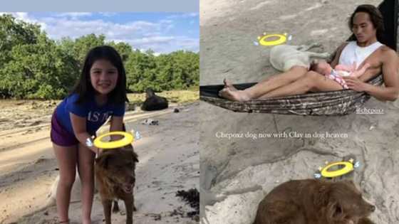 Andi Eigenmann, Philmar Alipayo mourn death of their pet dog Chep in viral posts