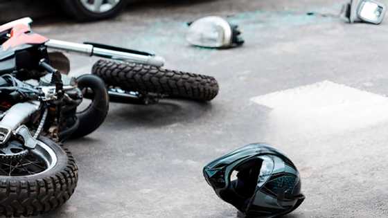 Rider dies after hitting dog and colliding with oncoming bus in Siaton, Negros Oriental