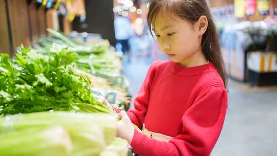 An 8-year-old girl asked me to buy milk for her brother – A man then came to my house with security