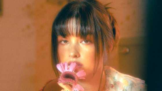 Cristy Fermin, inihayag sino dapat sisihin sa mga pambabash kay Liza Soberano: “Kinuda mo kinakain mo ngayon”