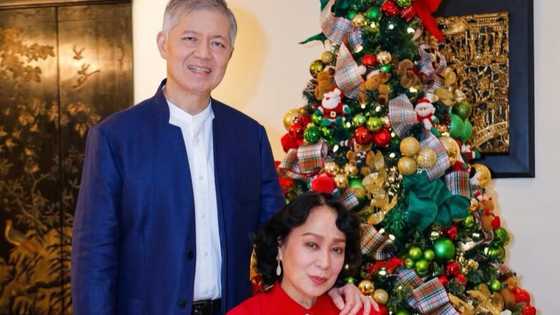 Gloria Diaz celebrates the season with heartfelt holiday message