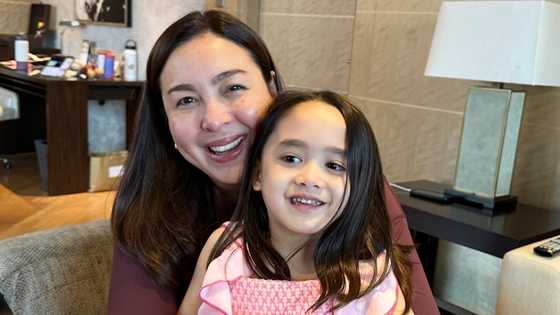 Marjorie Barretto sends sweet birthday message to granddaughter Millie
