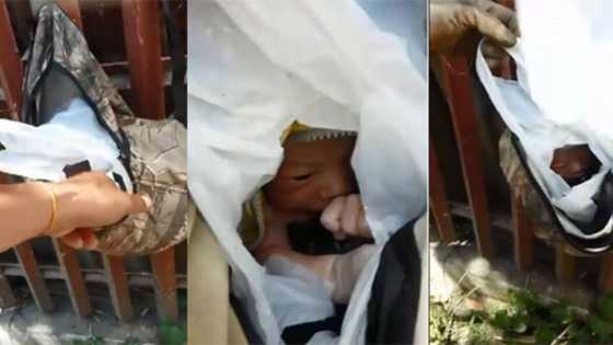 Sanggol nilagay sa plastic, sinilid sa backpack at kinabit sa bakuran, nagsusumikap mabuhay!