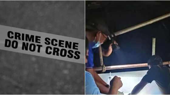 Man dies after being hammered on the head by drinking companion after a heated argument
