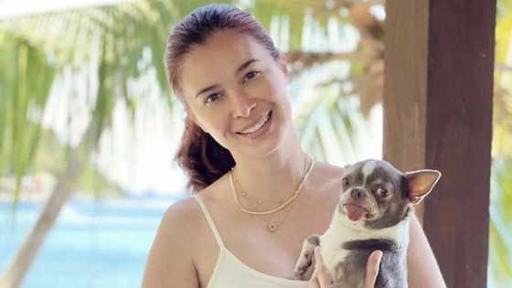 Sunshine Cruz, inalala gaano kalapit sa puso niya ang MMK: "Thank you for the trust"