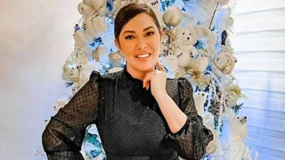 Ruffa Gutierrez pays tribute to Johnny Manahan: "Starry, starry night of a hundred stars"