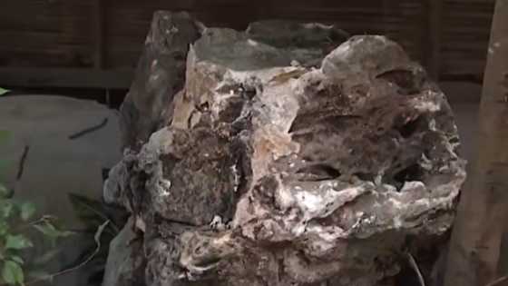 Babae sa Rodriguez, Rizal nasawi matapos mabagsakan ng malaking tipak ng bato ang bahay