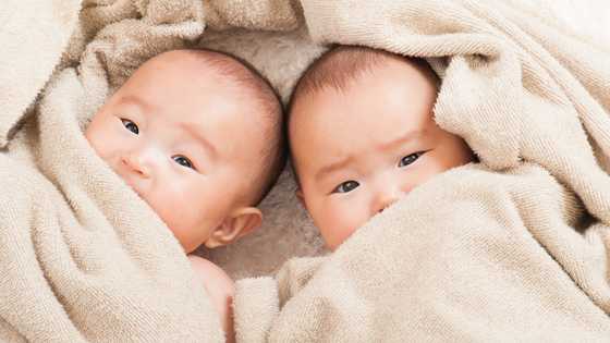I changed my newborn twins in the women’s restroom — Then a woman called police