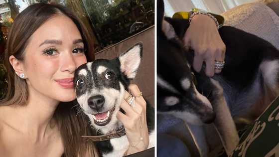 Heart Evangelista relieved as Panda starts eating again: “Thank you Lord”