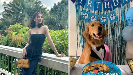 Celebs, humihingi ng hustisya para sa asong si Killua: "Nadurog ang puso ko"