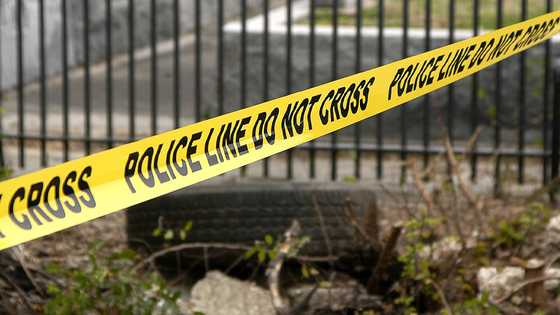 Woman’s body found along roadside in Isabela wrapped in red plastic