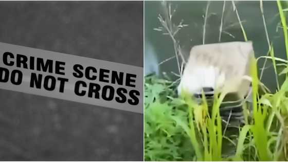 Nawawalang menor de edad na babae, natagpuang patay sa loob ng isang maleta