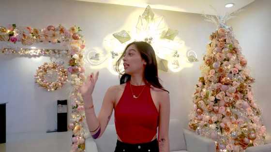 Zeinab Harake, ipinakita ang bonggang Christmas decoration ng kanyang bahay