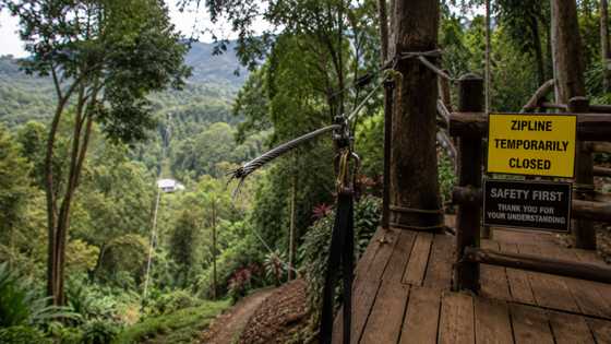 Indian national, sugatan matapos bumigay ang zipline cable sa Bukidnon