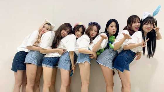Hashtag members profile: names, age, scandal