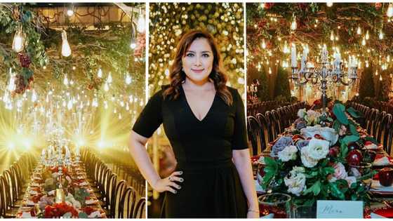 Ara Mina finally comments on arrest of Deborah Sun in her condo unit