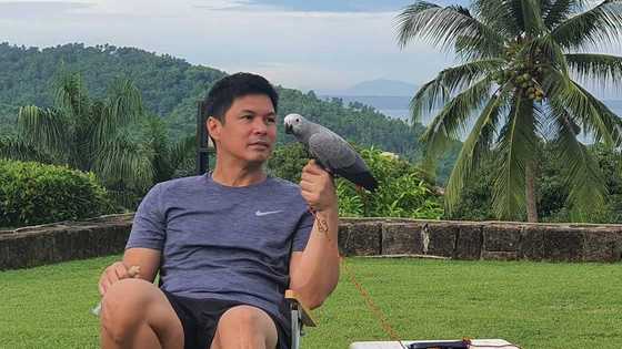 Raymart Santiago, nanindigan: “Kailanman ay hindi ko nagawa ang mga paratang nila”