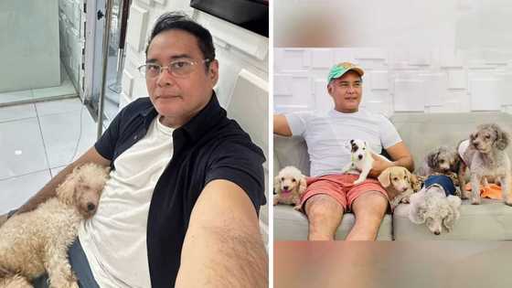 John Arcilla ends 2025 by honoring his beloved pets