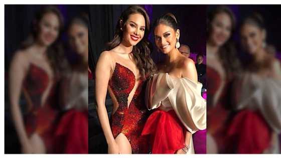 5 Most followed Miss Universe winners sa social media