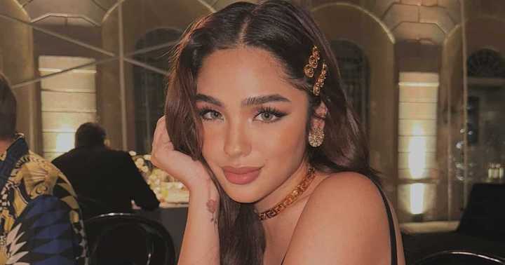 Andrea Brillantes, may makalaglag-pangang halaga ng shares sa isang ...